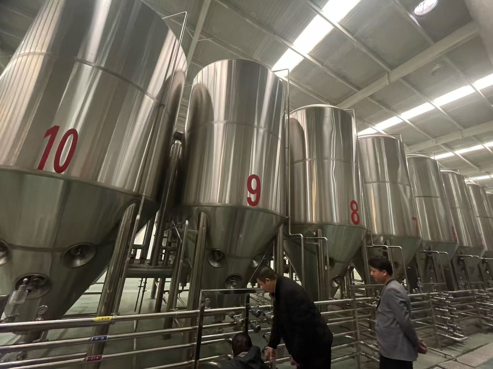 龙凤精酿啤酒设备厂—平面布置、设备设计、制造、调试、培训等一条龙服务