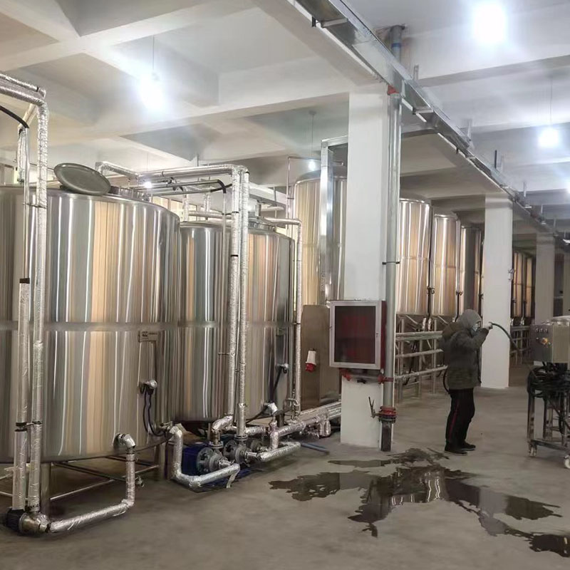 龙凤精酿啤酒设备