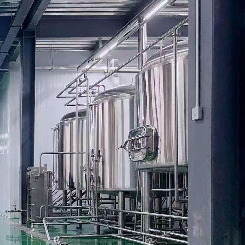 龙凤精酿啤酒设备