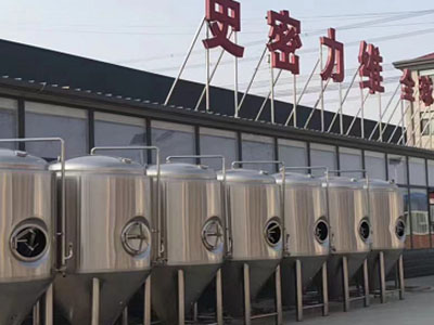 龙凤精酿啤酒设备厂—如何判断精酿啤酒设备的密封件需要更换？